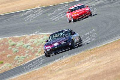 media/May-06-2023-Lucky Dog Racing (Sat) [[8f2256f436]]/Turn 2 10a/